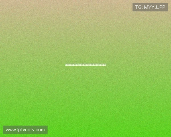 跨国企业高管畅谈进博会助力全球合作共赢为世界经济注入新动力